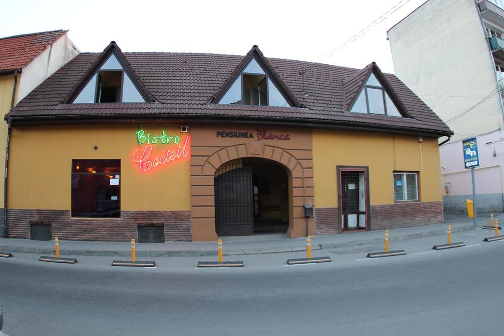 Pensiunea Blanca Reghin Esterno foto